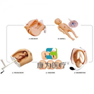 “康為醫(yī)療”高級腹部觸診、分娩機轉綜合模型