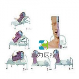 “康為醫(yī)療”高級吞咽機(jī)制模型