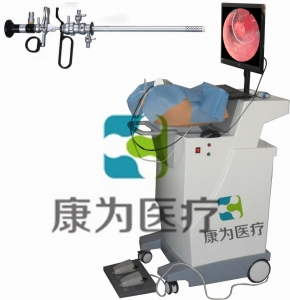 HYST SURGERY高端宮腔鏡手術模擬訓練系統(tǒng)