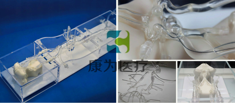 顱腦血管微創(chuàng)手術(shù)介入模擬訓練模型系統(tǒng) simulation training model system for minimally invasive cranio-cerebral vascular surgery (型號：MI4655)