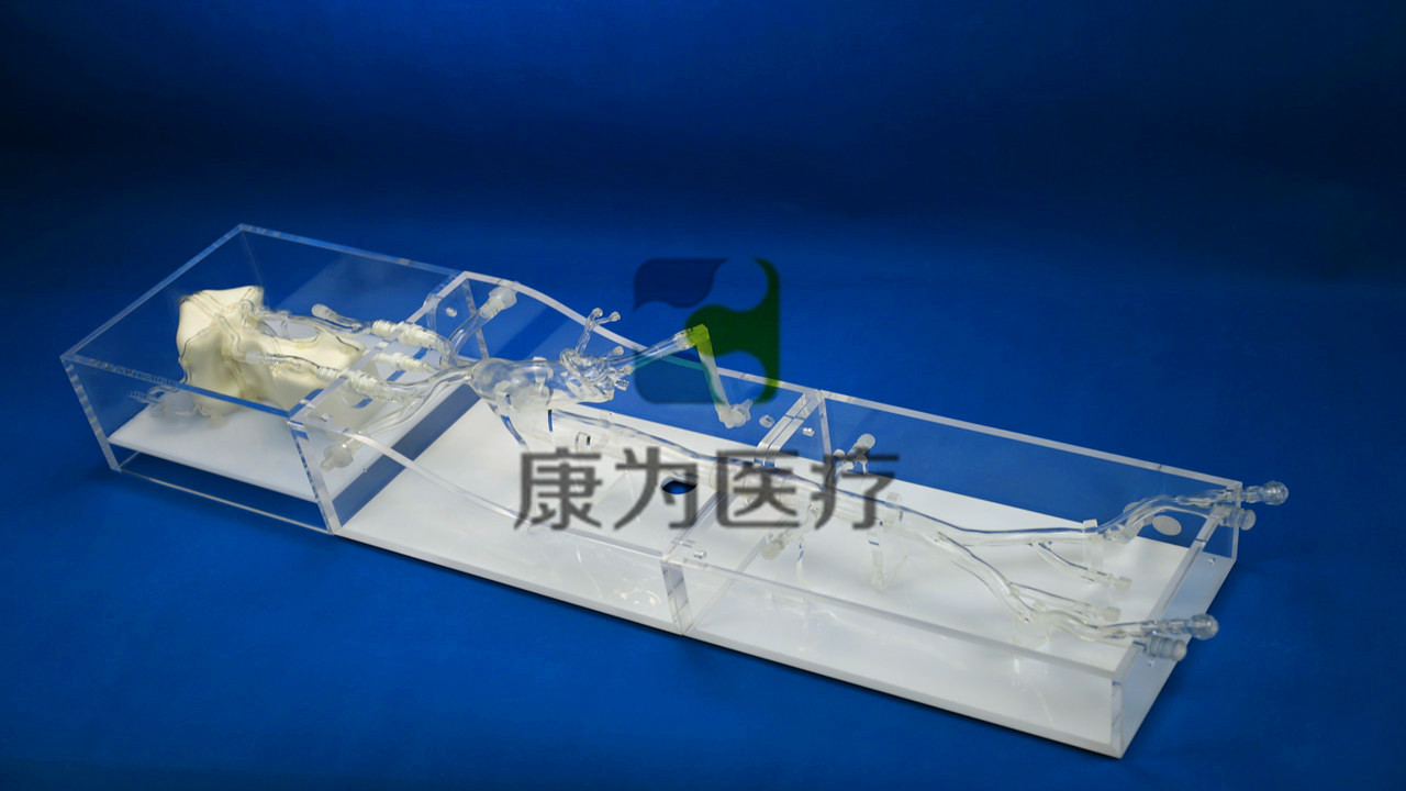 顱腦血管微創(chuàng)手術(shù)介入模擬訓練模型系統(tǒng) simulation training model system for minimally invasive cranio-cerebral vascular surgery (型號：MI4655)